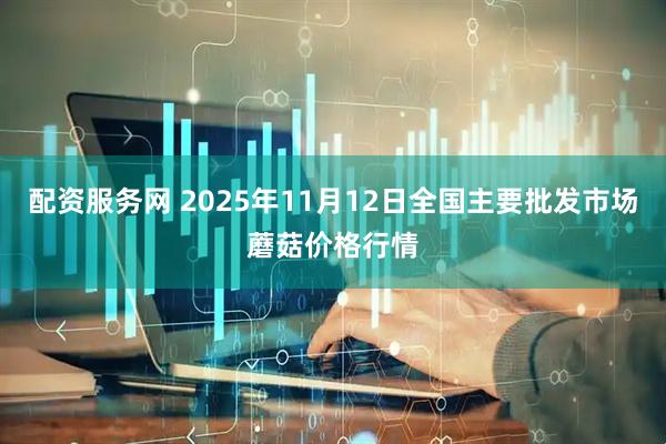 配资服务网 2025年11月12日全国主要批发市场蘑菇价格行情