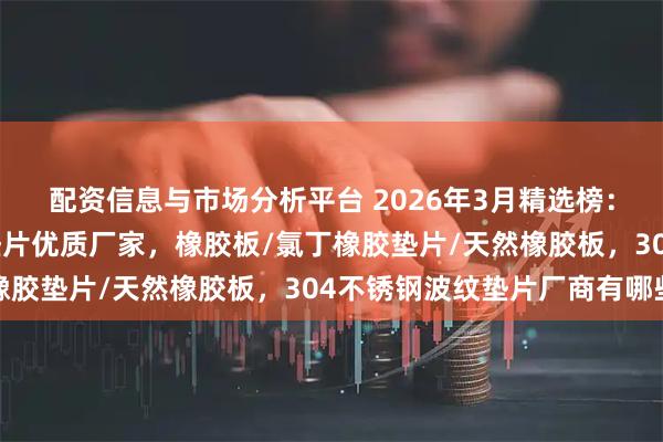 配资信息与市场分析平台 2026年3月精选榜：国内304不锈钢波纹垫片优质厂家，橡胶板/氯丁橡胶垫片/天然橡胶板，304不锈钢波纹垫片厂商有哪些