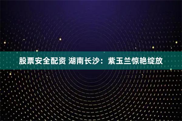 股票安全配资 湖南长沙：紫玉兰惊艳绽放